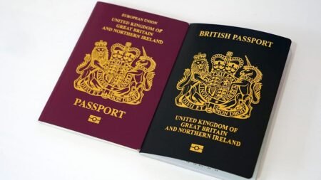Ten years after Brexit, travel rules confusion remains widespread Ten years after Brexit, travel rules confusion remains widespread