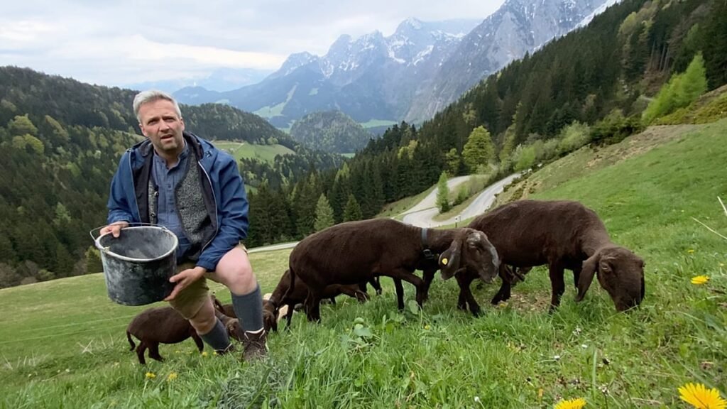 Austria’s seemingly happy farmers: the keys to a rural success story Austria’s seemingly happy farmers: the keys to a rural success story