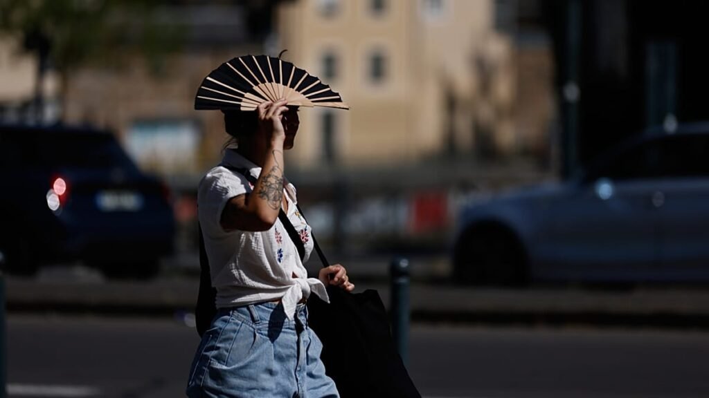 Heatwave and wildfire alerts, power cuts in Finistère: France swelters Heatwave and wildfire alerts, power cuts in Finistère: France swelters