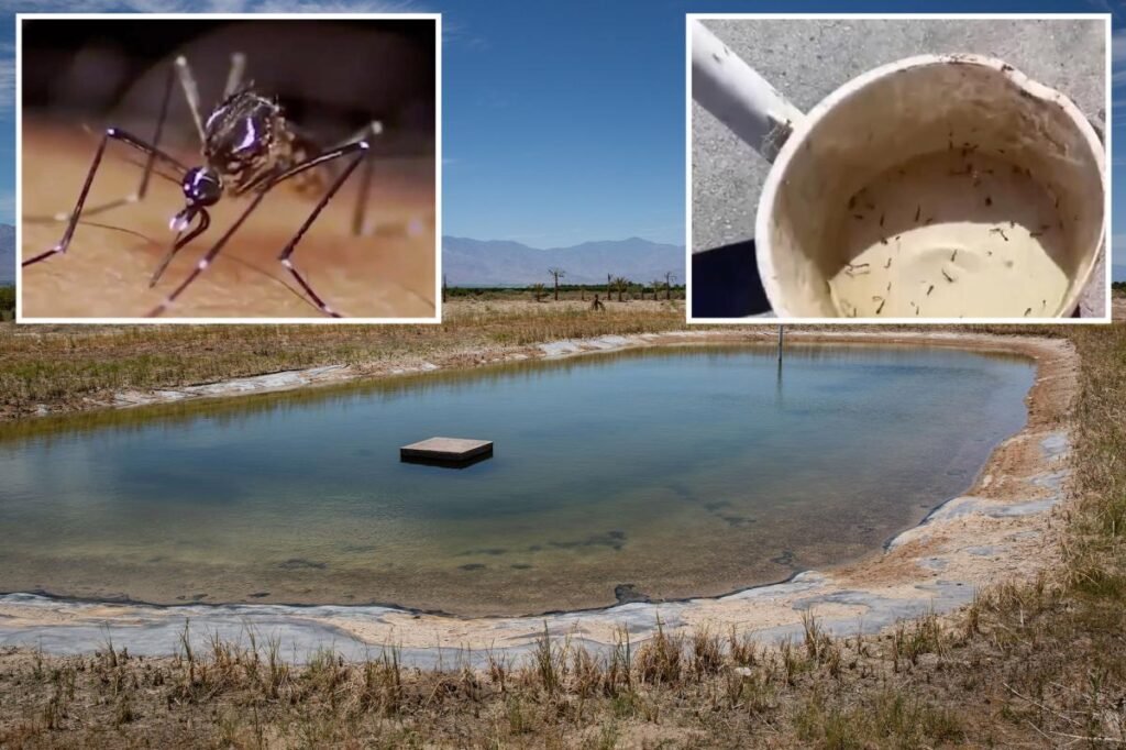 Urgent warning as deadly West Nile virus is discovered in California
