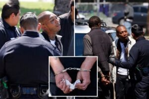 Drug-addled zombies rushed by cops in sweeping blitz of LA’s notorious MacArthur Park