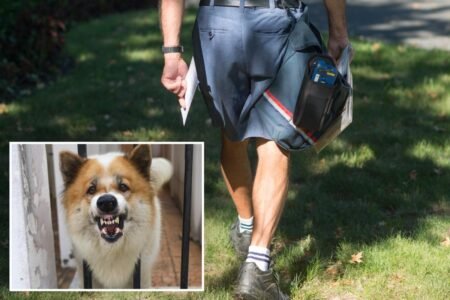 USPS reveals startling number of dog attacks on workers — and issues urgent warning to pet owners