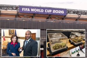 Exclusive | High kicks: NY gives local World Cup fans tips on how to land safe, legal cannabis Exclusive | High kicks: NY gives local World Cup fans tips on how to land safe, legal cannabis