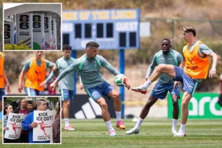 Fears for LA’s opening World Cup game as experts reveal how mass strike could hit USMNT’s match Fears for LA’s opening World Cup game as experts reveal how mass strike could hit USMNT’s match
