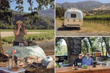 California wine bosses pivot to old-school revenue source as wine cash dries up California wine bosses pivot to old-school revenue source as wine cash dries up