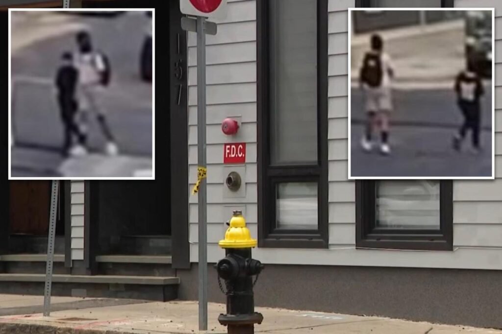 Two children robbed at gunpoint while running lemonade stand in Boston by juvenile suspects: police