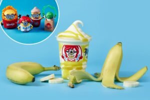 Wendy’s debuts brand-new Frosty flavor — and fans say they can’t wait to try it