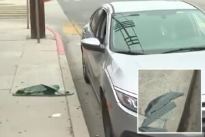 Brazen Los Angeles thief’s astonishing heist targeting entire street in one night Brazen Los Angeles thief’s astonishing heist targeting entire street in one night