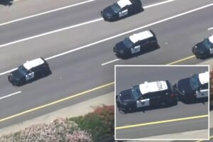 Stolen police cruiser leads cops on wild chase through streets of Sacramento Stolen police cruiser leads cops on wild chase through streets of Sacramento