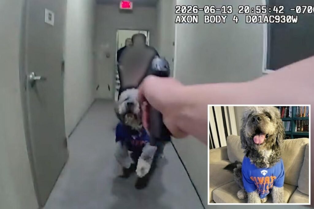 Horrific bodycam video reveals moment beloved dog is shot 4 times by LAPD officer Horrific bodycam video reveals moment beloved dog is shot 4 times by LAPD officer