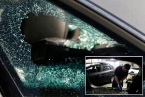 Bizarre twist as stunning decline in Bay Area crime hurts business owners: ‘We’ve taken quite a hit’