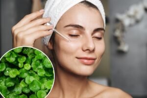 What is the ‘herb of longevity’? All about the trendy Korean skincare staple What is the ‘herb of longevity’? All about the trendy Korean skincare staple