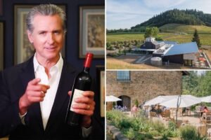 Inside Gavin Newsom’s hidden wine empire as filings expose insane earnings Inside Gavin Newsom’s hidden wine empire as filings expose insane earnings