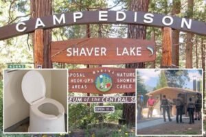 Sunglasses rescue goes horribly wrong as camper plunges into California vault toilet tank