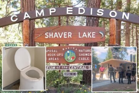 Sunglasses rescue goes horribly wrong as camper plunges into California vault toilet tank