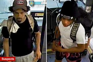 Elderly good Samaritan stabbed on  MTA bus for confronting bully who pushed  pregnant rider