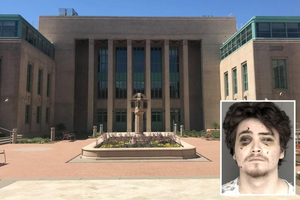 ‘Obsessed’ gamer posing as Amazon driver learns fate for attempted murder of California couple