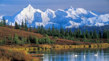 Lone survivor rescued after fatal fall kills three climbers on Mount McKinley