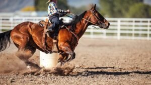 Teen athlete arrested, three horses pulled from competition after alleged overnight barn attack Teen athlete arrested, three horses pulled from competition after alleged overnight barn attack