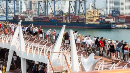 Cruise passenger hailed as hero after jumping into water to save 84-year-old man