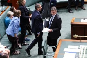 Albanese government faces Senate delays as Coalition and Greens push for longer inquiries into CGT tax and NDIS