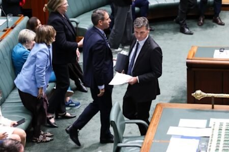 Albanese government faces Senate delays as Coalition and Greens push for longer inquiries into CGT tax and NDIS