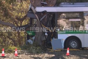 Man dies after Transperth bus crashes into tree in Wanneroo