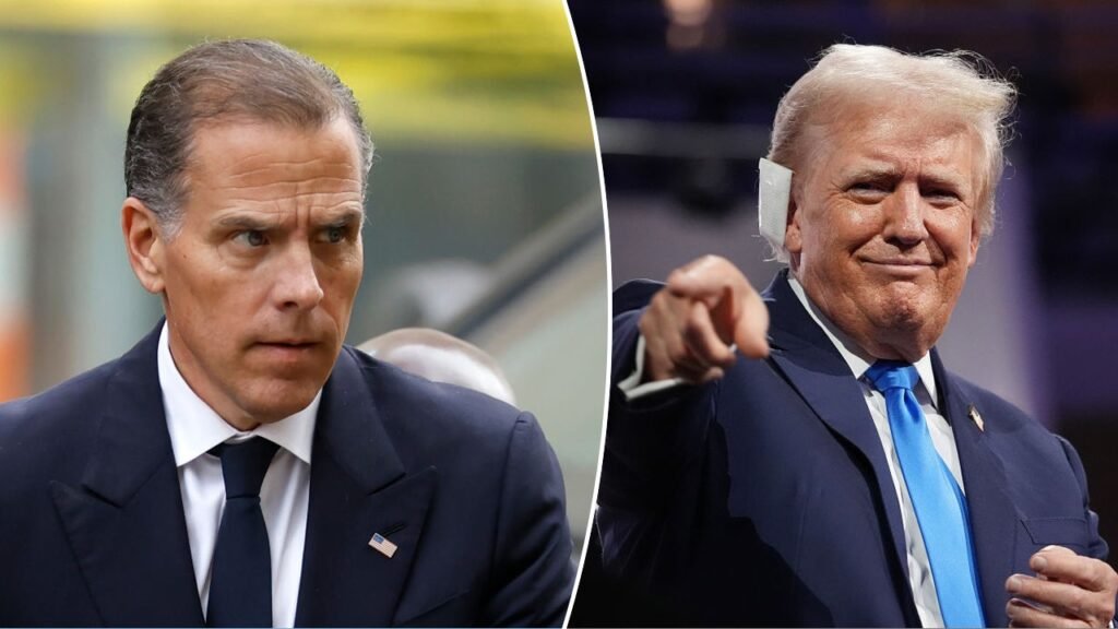 Hunter Biden could mount a successful White House bid given recent Democrat picks: Trump Hunter Biden could mount a successful White House bid given recent Democrat picks: Trump