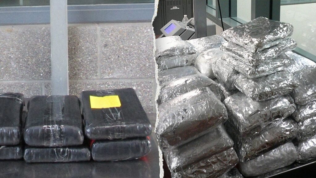 Massive Mexico-California border busts uncover eye-popping amount of drugs: ‘Remain vigilant’