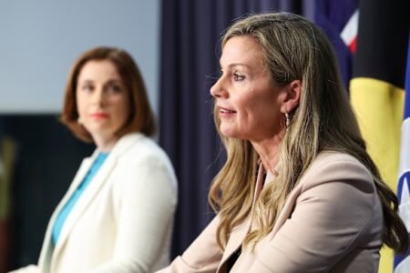eSafety Commissioner Julie Inman Grant questions social media ban
