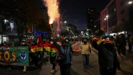 US, Shield of the Americas condemn ‘ongoing efforts’ to overthrow Bolivia’s elected president amid unrest