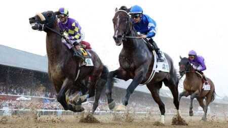 Belmont Stakes 2026: What to know about the final leg of horse racing’s Triple Crown Belmont Stakes 2026: What to know about the final leg of horse racing’s Triple Crown