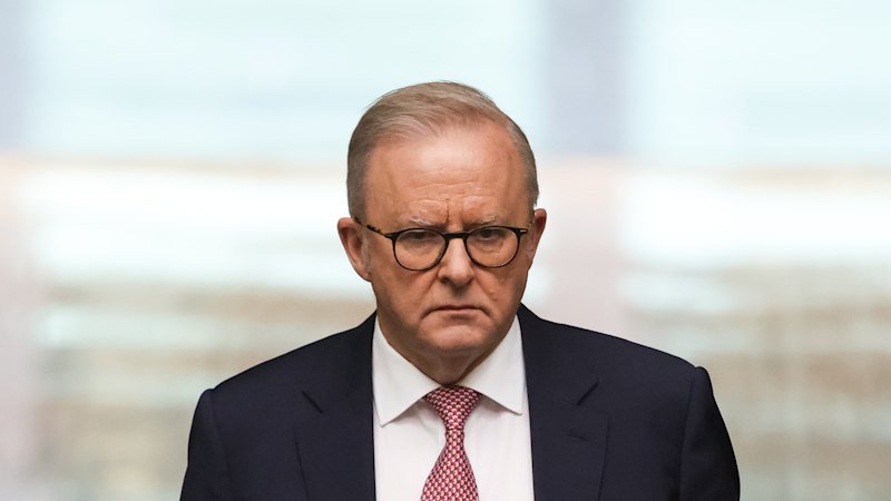 One Nation polling sparks Anthony Albanese statement on immigration; Iran ceases missile attack on Israel; Xi Jinping, Kim Jong-un to meet in North Korea One Nation polling sparks Anthony Albanese statement on immigration; Iran ceases missile attack on Israel; Xi Jinping, Kim Jong-un to meet in North Korea