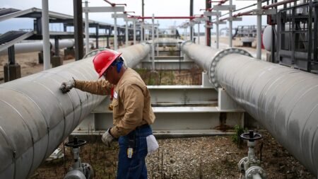 US oil reserves drop towards Reagan-era lows, ‘significant impact at the pump’ coming, experts warn