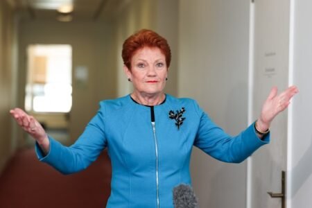 Pauline Hanson scoffs at Anthony Albanese’s scepticism of ‘Fire the Liar’ campaign Pauline Hanson scoffs at Anthony Albanese’s scepticism of ‘Fire the Liar’ campaign