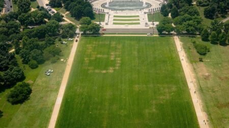 ‘Deranged message’ on National Mall sparks police probe as Trump security fears mount ‘Deranged message’ on National Mall sparks police probe as Trump security fears mount