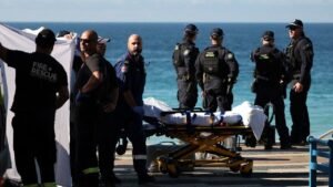 Woman airlifted to hospital with serious injuries after shark attack at popular Sydney beach Woman airlifted to hospital with serious injuries after shark attack at popular Sydney beach