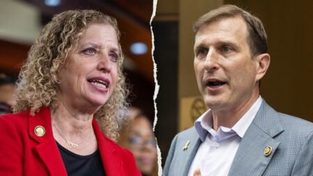From Wasserman Schultz to Goldman, Democratic incumbents are fighting for survival From Wasserman Schultz to Goldman, Democratic incumbents are fighting for survival