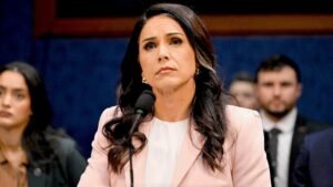 Gabbard says declassified biolab records validate concerns previously dismissed as misinformation Gabbard says declassified biolab records validate concerns previously dismissed as misinformation