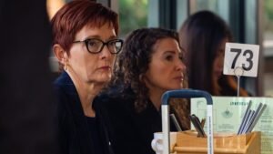 Sacked Parramatta Council CEO Gail Connolly faces cross-examination Sacked Parramatta Council CEO Gail Connolly faces cross-examination