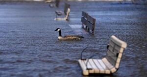 30% of Canadians say they were hit by extreme weather in last year: poll 30% of Canadians say they were hit by extreme weather in last year: poll