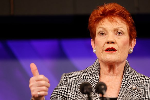 Hanson’s ambitions revolve around xenophobia and hate, unfortunately Hanson’s ambitions revolve around xenophobia and hate, unfortunately