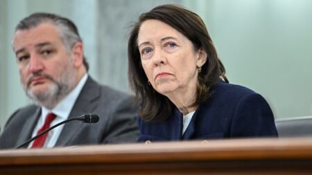 SEE IT: Dem senator downplays security threat of illegal immigration after alleged White House terror plot SEE IT: Dem senator downplays security threat of illegal immigration after alleged White House terror plot