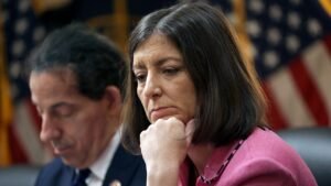 Ex-House Dem who ripped congressional stock trading ban as ‘bulls—‘ changes her tune in comeback bid