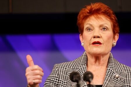 Angus Taylor wants to fight Labor. But his nemesis is Pauline Hanson, and she’s winning Angus Taylor wants to fight Labor. But his nemesis is Pauline Hanson, and she’s winning