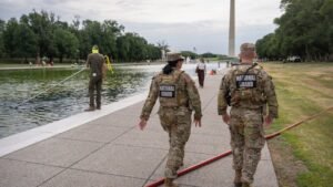 Former Olympian among those charged with vandalizing Reflecting Pool, Trump vows immediate repairs: report Former Olympian among those charged with vandalizing Reflecting Pool, Trump vows immediate repairs: report