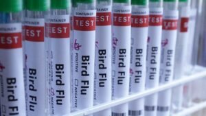 H5N1 bird flu confirmed in Australia for the first time, meaning virus has now reached every continent H5N1 bird flu confirmed in Australia for the first time, meaning virus has now reached every continent