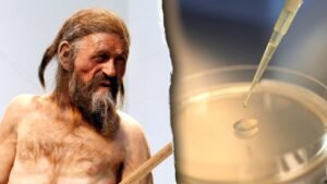 Scientists find ‘signs of life’ inside 5,300-year-old mummy in remarkable discovery Scientists find ‘signs of life’ inside 5,300-year-old mummy in remarkable discovery