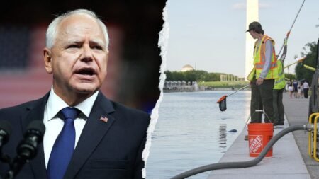 Tim Walz’s jab at Trump over Reflecting Pool draws fraud scandal backlash: ‘Sit this one out’ Tim Walz’s jab at Trump over Reflecting Pool draws fraud scandal backlash: ‘Sit this one out’