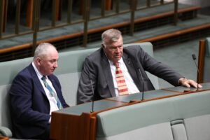 New One Nation MP votes with Teals and Greens to cap mining fuel tax credits